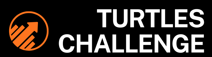 Turtles Challenge
